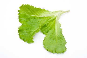 Similar image 342608