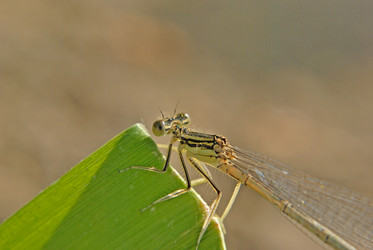 Similar image 342650