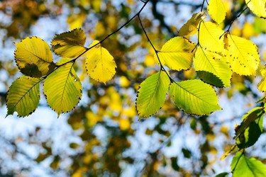 Similar image 342690