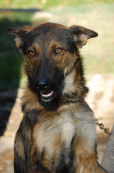 Similar image 342700