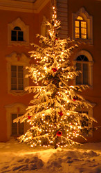 Similar image 342735