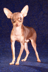 Similar image 342739