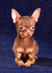 Similar image 342743