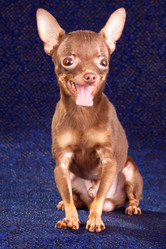 Similar image 342744