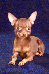 Similar image 342747