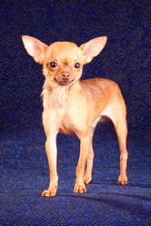 Similar image 342748