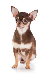 Similar image 342759