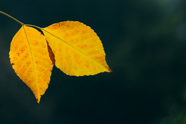 Similar image 342837