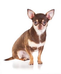 Similar image 342963