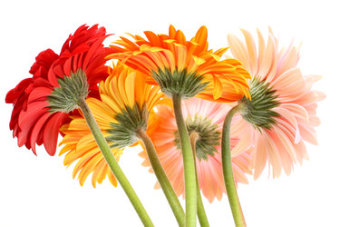 Similar image 343065