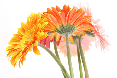 Similar image 343068