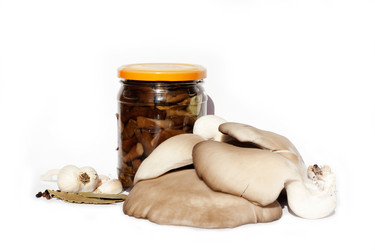 Similar image 343070