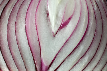 Similar image 343084