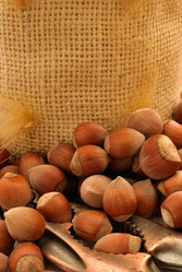 Similar image 343114