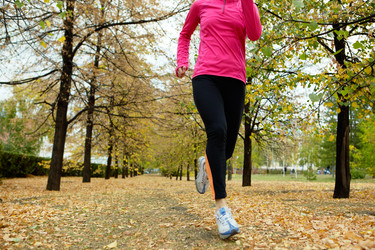 Similar image 343177