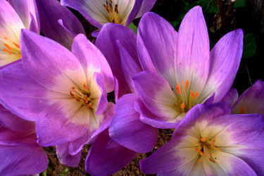 Similar image 343199