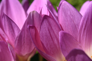 Similar image 343201