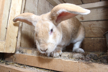 Similar image 343204