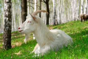 Similar image 343213