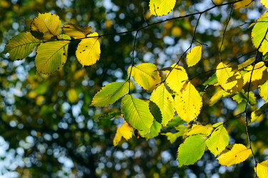 Similar image 343245