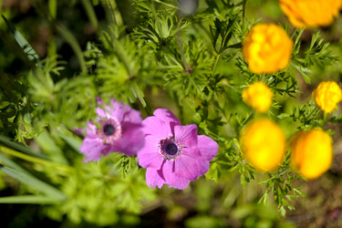 Similar image 343271