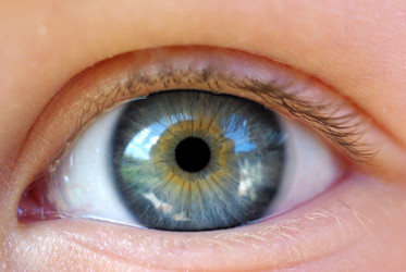 Similar image 343279