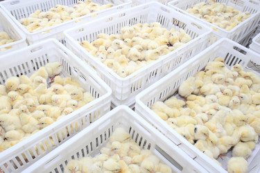 Similar image 343284