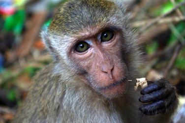 Similar image 343297