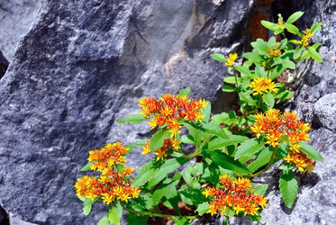 Similar image 343370