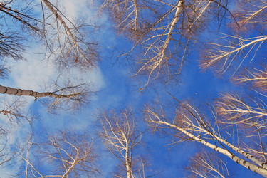 Similar image 343381