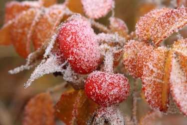 Similar image 343383