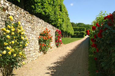 Similar image 343401