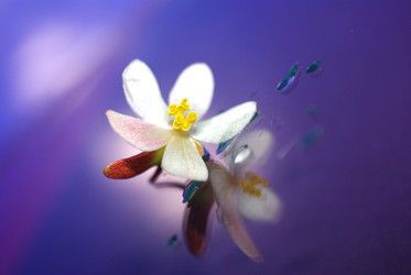 Similar image 343445