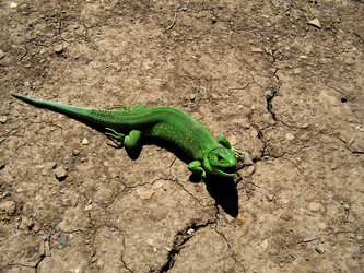 Similar image 343450