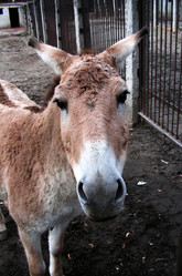 Similar image 343457