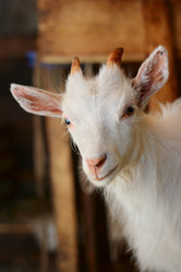 Similar image 343474