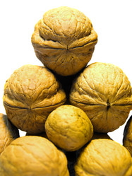 Similar image 343527