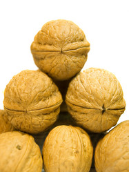 Similar image 343528