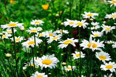 Similar image 343612