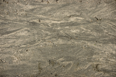 Similar image 343639