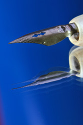 Similar image 343664