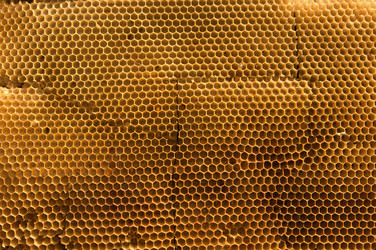 Similar image 343665