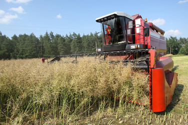 Similar image 343707