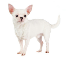 Similar image 343754