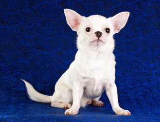 Similar image 343760