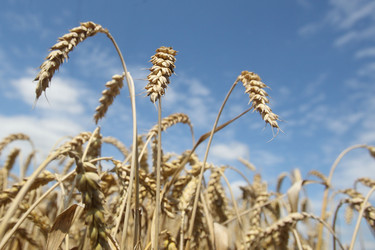 Similar image 343786