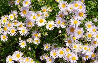 Similar image 343807