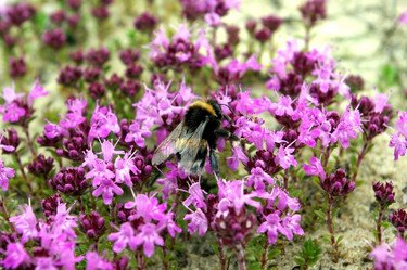 Similar image 343858