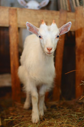 Similar image 343876