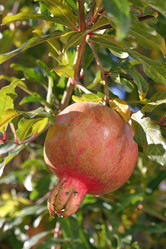 Similar image 343877